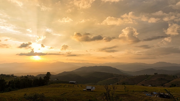 Bela paisagem de terraços de arroz em chiang mai, tailândia. mudas de arroz em campos de arroz do terraço com raio de sol.