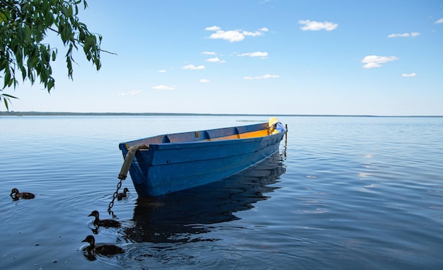 Bela paisagem de um barco de madeira azul com patos no Lago Pleshcheyevo Um dia ensolarado de verão na natureza