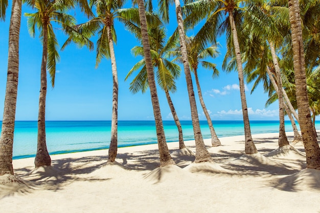 Bela paisagem de uma praia tropical na ilha de Boracay, Filipinas, sob lockdoun. Coqueiros, mar, veleiro e areia branca. Visão da natureza. Conceito de férias de verão.