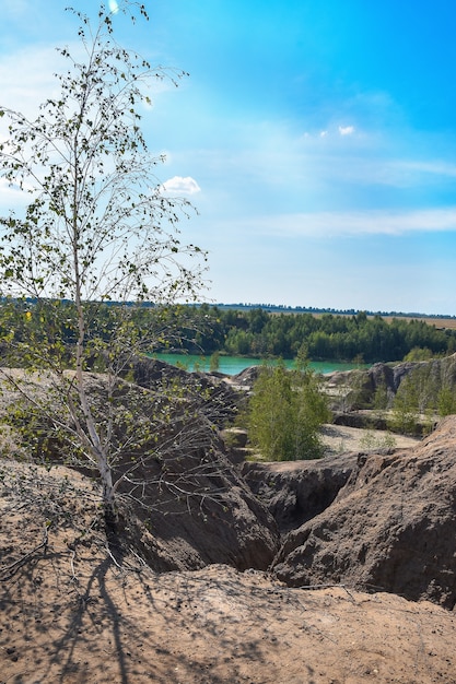 Bela paisagem de verão com árvores do lago Céu azul e nuvens fofas Conceito da natureza