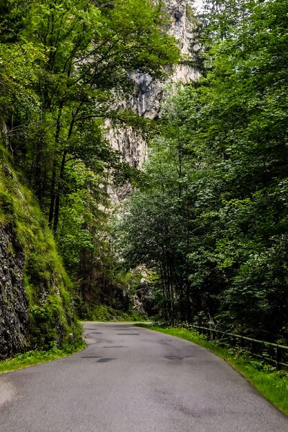 Bela paisagem de verão com estradas e florestas nas montanhas dos Alpes da Áustria