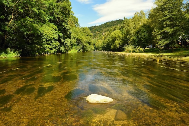 Bela paisagem de verão com rio, floresta, sol e céus azuis. fundo natural.