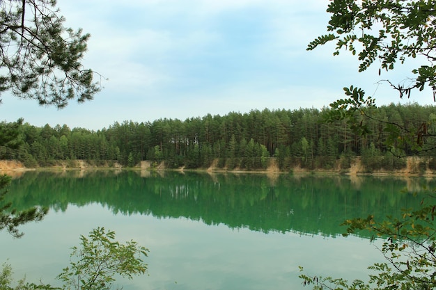 bela paisagem de verão com um lago pitoresco na floresta