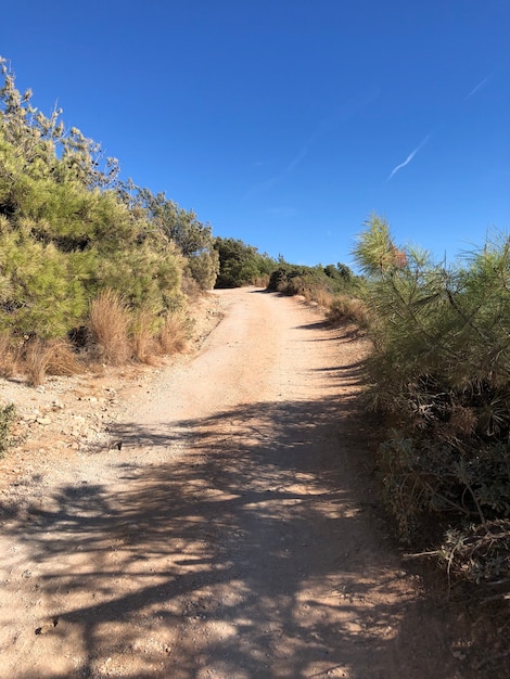 Bela paisagem de verão de Rhodes, Grécia