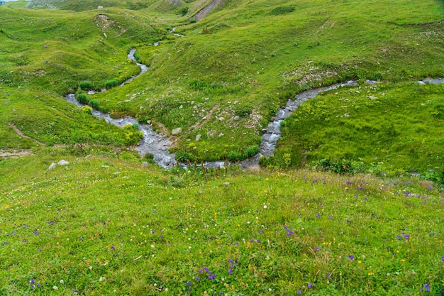 Bela paisagem de verão em Savsat, província de Artvin, Turquia