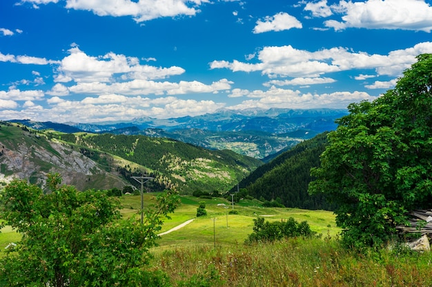 Bela paisagem de verão em Savsat, província de Artvin, Turquia