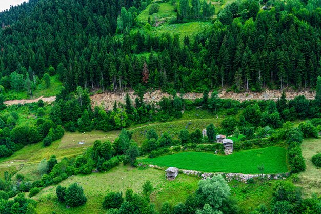 Bela paisagem de verão em Savsat, província de Artvin, Turquia