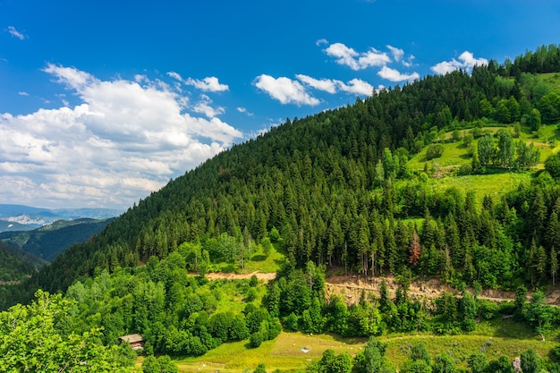 Bela paisagem de verão em Savsat, província de Artvin, Turquia