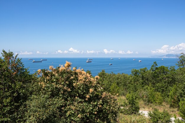 Bela paisagem de verão Estrada para a praia selvagem através da floresta verde