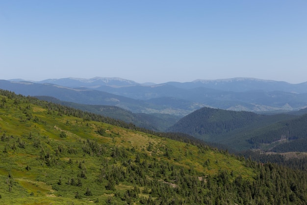 Bela paisagem de verão. montanhas dos cárpatos, florestas e lagos.