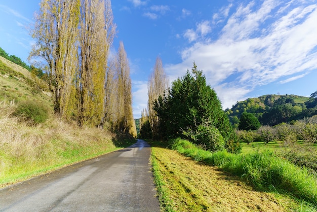 Bela paisagem de Whanganui no outono, Ilha do Norte da Nova Zelândia