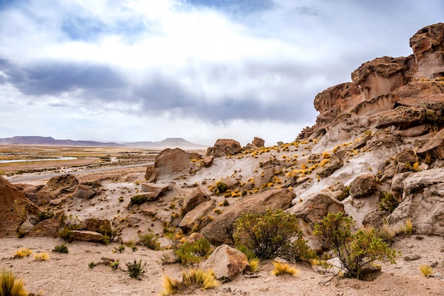 Bela paisagem do deserto