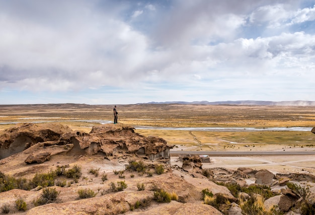 Bela paisagem do deserto