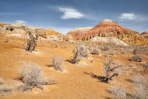 Bela paisagem do deserto