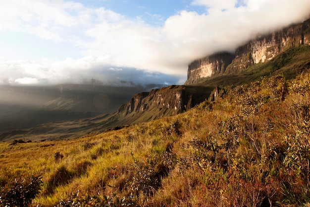 Foto bela paisagem do parque de roraima