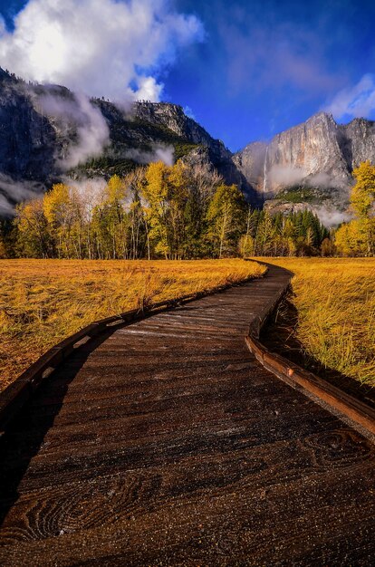 Bela paisagem do Parque Nacional de Yosemite