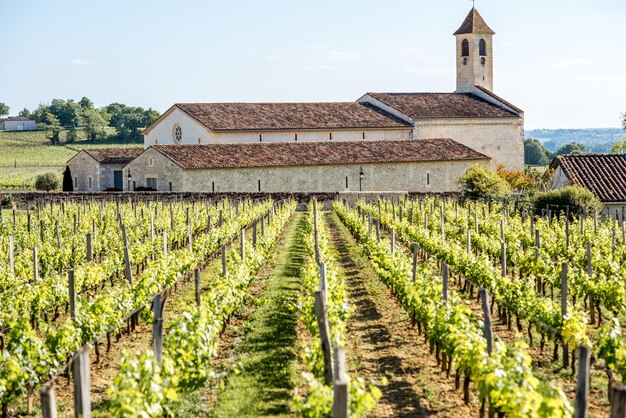 Bela paisagem dos vinhedos da vila de Saint Emilion, perto de Bordeaux, na França