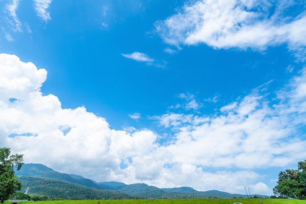 Bela paisagem grama verde com floresta natural Vistas de montanha primavera com atmosfera de ar fundo de céu azul brilhante abstrato textura de fundo claro com nuvens brancas