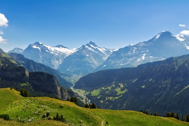 Bela paisagem idílica dos Alpes com montanhas no verão, Suíça