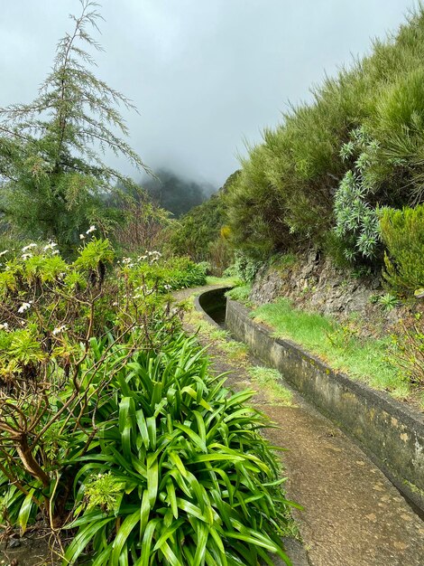 Bela paisagem madeirense