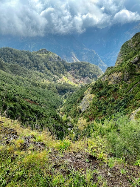 Foto bela paisagem madeirense