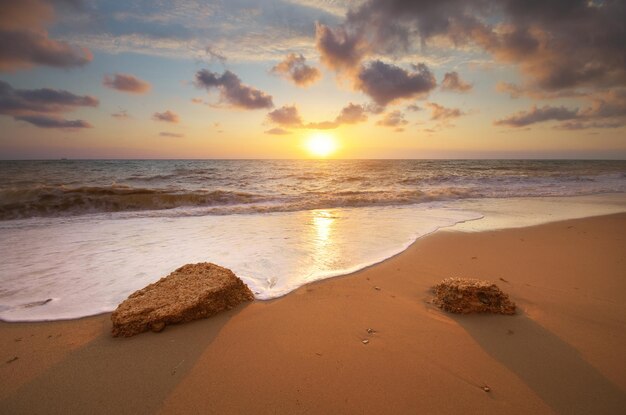 Bela paisagem marinha Composição da natureza