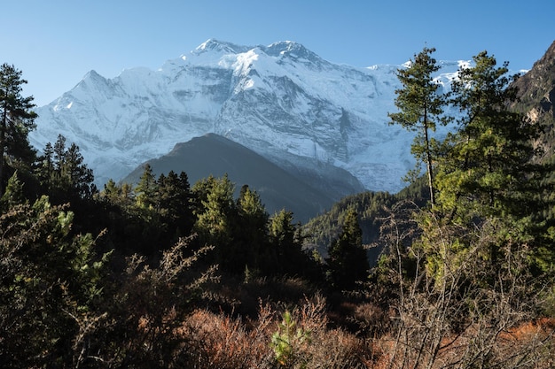 Bela paisagem montanhosa com rochas florestais de coníferas e picos nevados no nepal