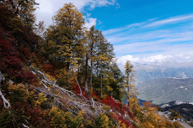 Bela paisagem montanhosa de outono com árvores em kavkaz