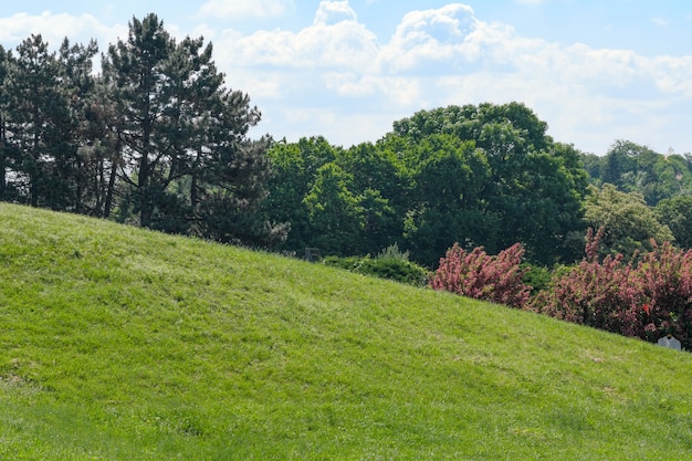 Bela paisagem montanhosa de vegetação natural em um dia ensolarado de verão