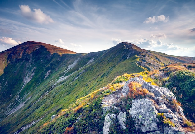 Bela paisagem montanhosa nas montanhas dos Cárpatos de verão