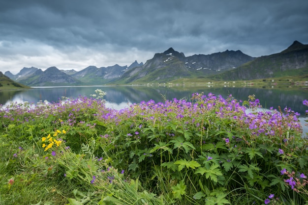 Bela paisagem nas ilhas Lofoten no verão, Noruega