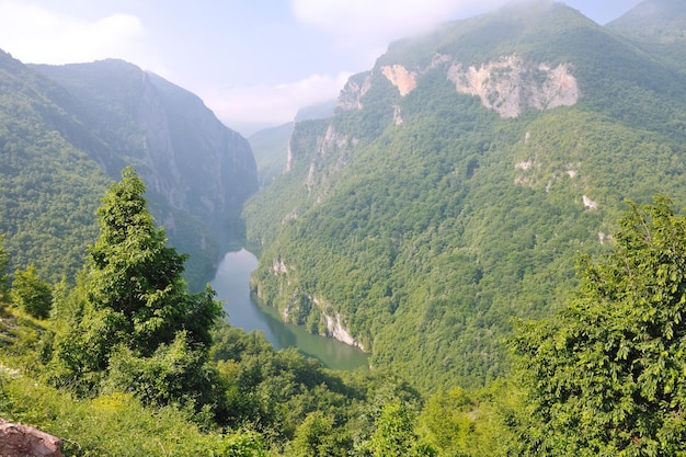 bela paisagem natural com rio no desfiladeiro e fundo verde da floresta