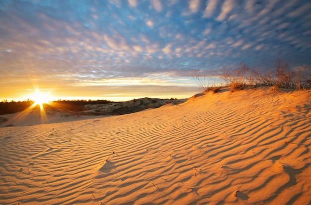 Foto bela paisagem no deserto. composição da natureza.