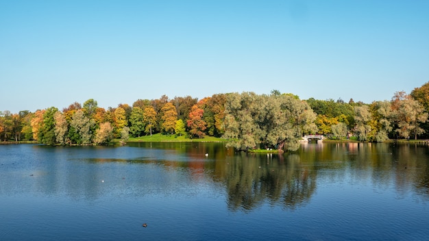 Bela paisagem panorâmica de outono com árvores brilhantes na margem do lago