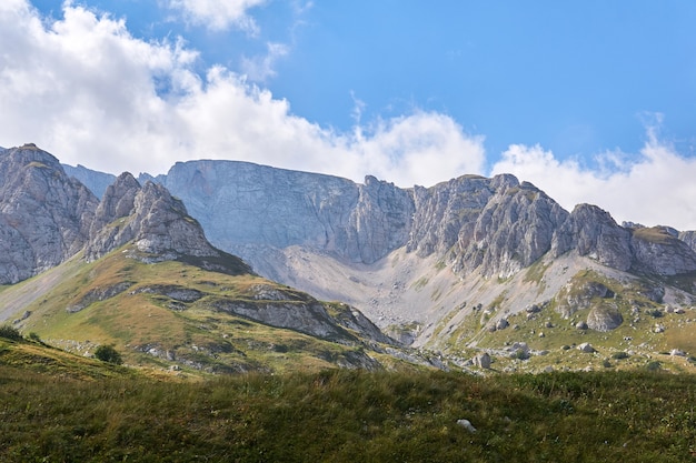 Bela paisagem - prado alpino com uma alta cordilheira ao fundo