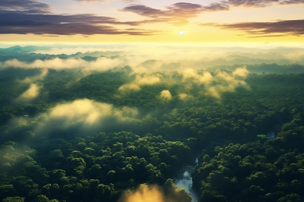 Bela paisagem verde da floresta amazônica ao pôr do sol