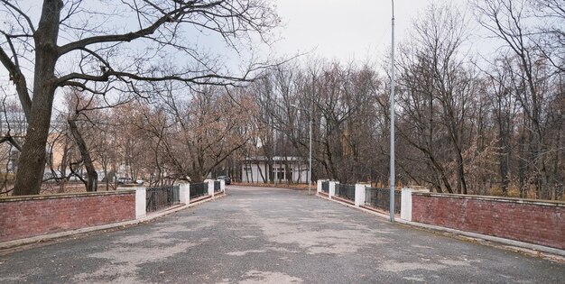 Foto bela passagem em um parque de outono através de uma ponte com uma cerca de tijolos