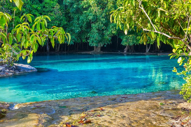 Bela piscina de esmeralda na floresta profunda em Krabi TAILÂNDIA