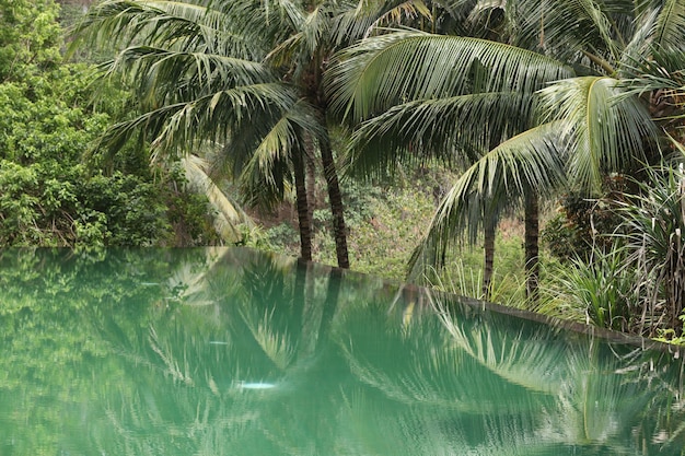 Bela piscina infinita em um jardim tropical, área de relaxamento para turistas, reflexo de palmeiras na água, orientação horizontal, bali, indonésia