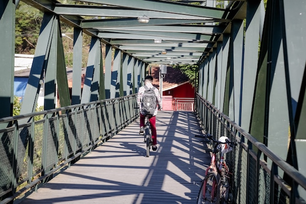 Foto bela ponte de ferro sobre o rio no meio da floresta encantada