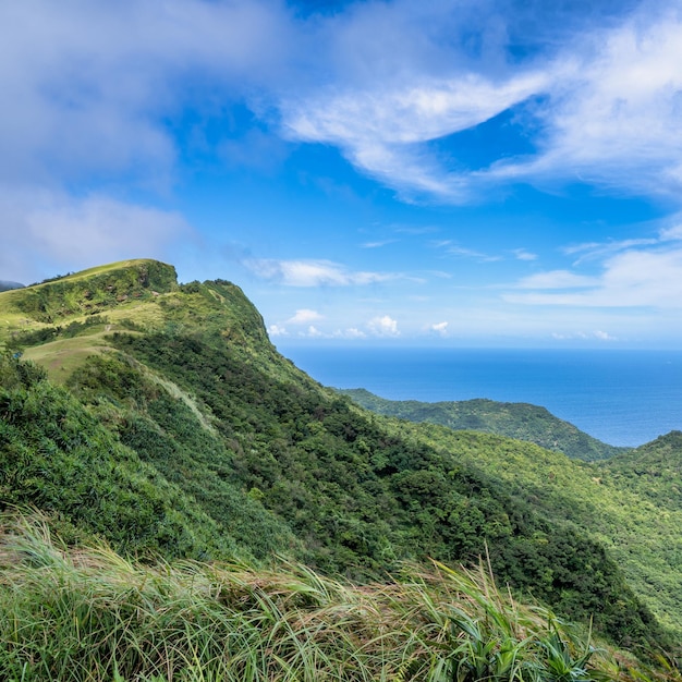 Bela pradaria de pastagem no vale de Taoyuan Caoling Mountain Trail passa sobre o pico do Mt Wankengtou em Taiwan