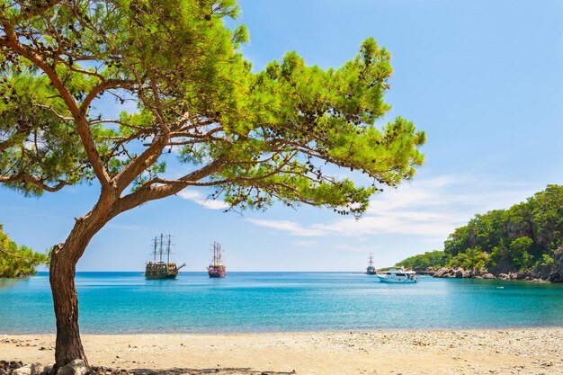 Bela praia com águas turquesas e pinheiros. "Baía do paraíso" perto de Kemer, Turquia