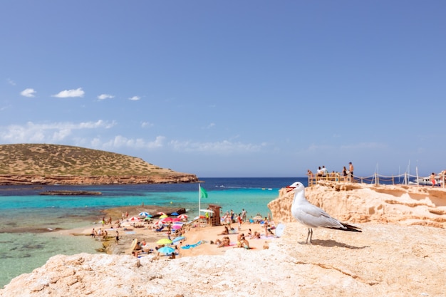 Bela praia de águas azul-turquesa na ilha de Ibiza, Espanha