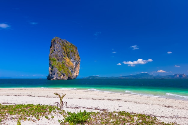 Bela praia de areia branca e céu claro em Krabi na Tailândia