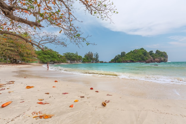 bela praia de areia branca