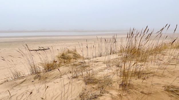 bela praia de areia no nevoeiro