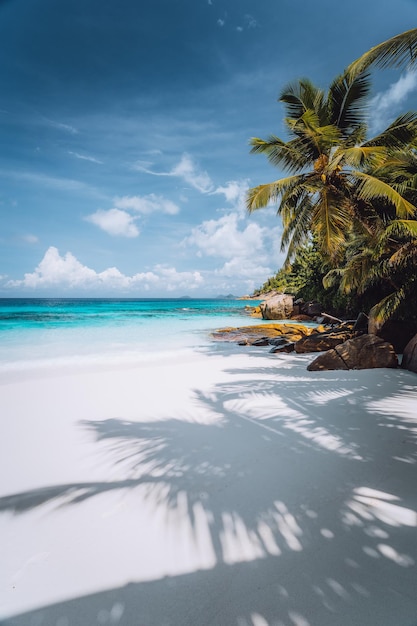 Bela praia de Petite Anse em Mahe Island Seychelles Palmeiras e férias de férias de céu azul