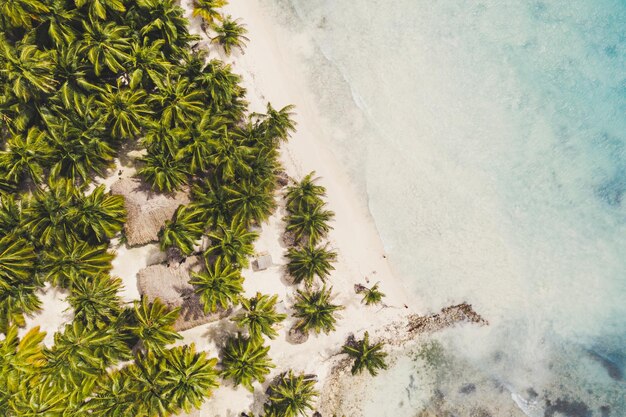 Bela praia do Caribe na ilha Saona República Dominicana Vista aérea da paisagem idílica tropical de verão com palmeiras verdes costa do mar e areia branca