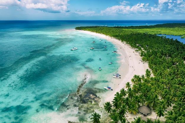 Bela praia do caribe na ilha saona república dominicana vista aérea da paisagem idílica tropical de verão com palmeiras verdes costa do mar e areia branca