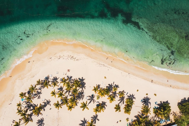 Bela praia do Caribe na República Dominicana Vista abstrata aérea da paisagem idílica tropical de verão com palmeiras verdes, costa marítima e areia branca